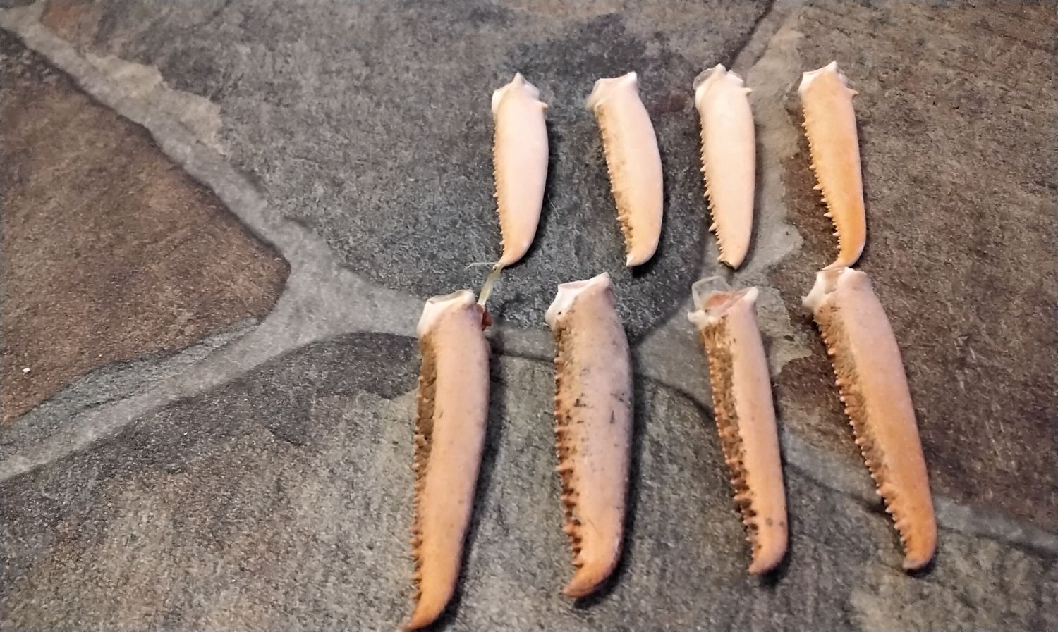 King Crab Claws For 4