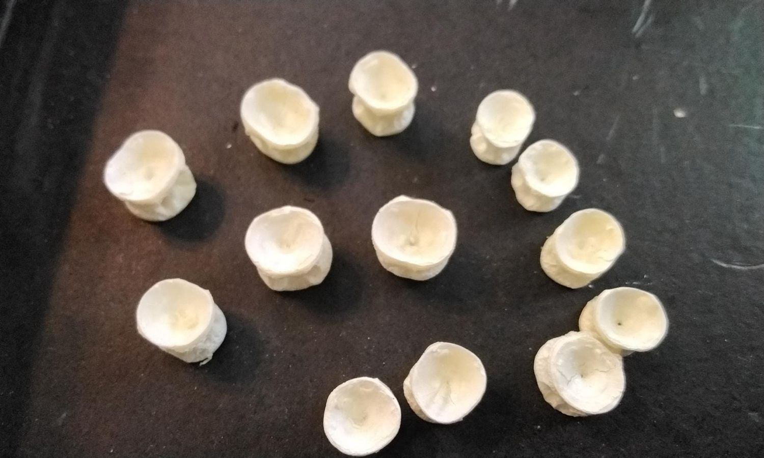 Fish Vertebrae Bones For Salmon For 13 Small Lot# For 13 Sm