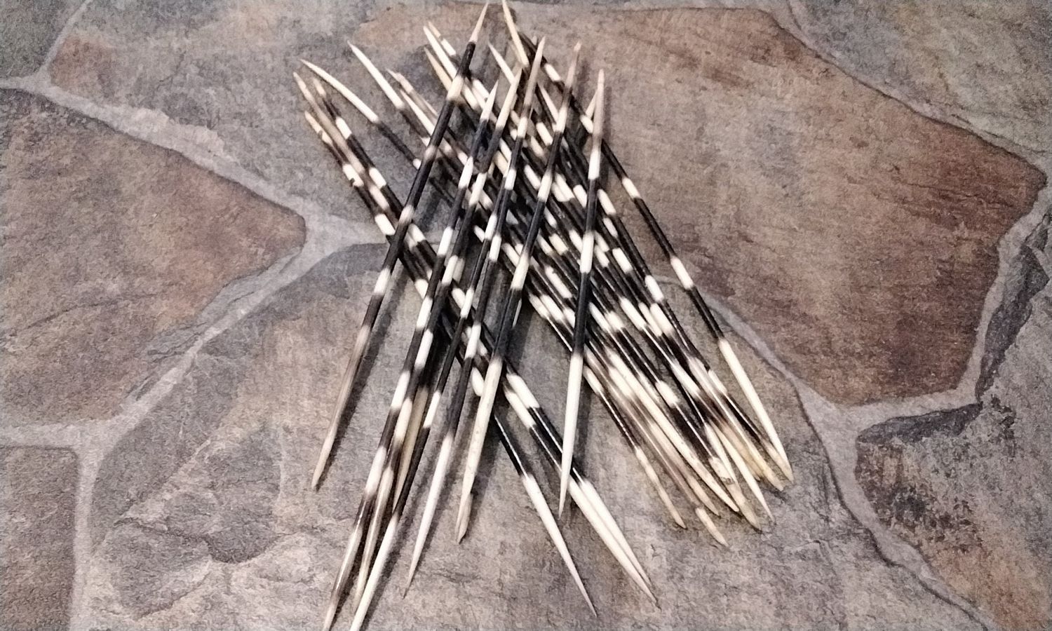 Porupine Quill For 2 African Porcupine Quills That are about 9&quot; - 10&quot; Long