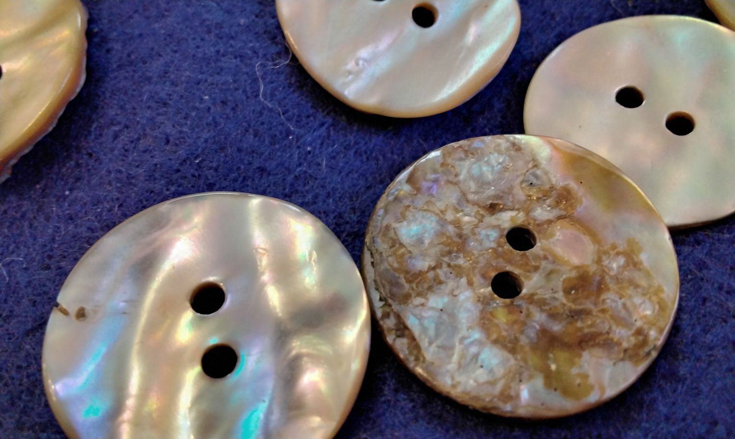 Abalone Shell Disc For 4 These are 7/8&quot; size with 2 drilled holes