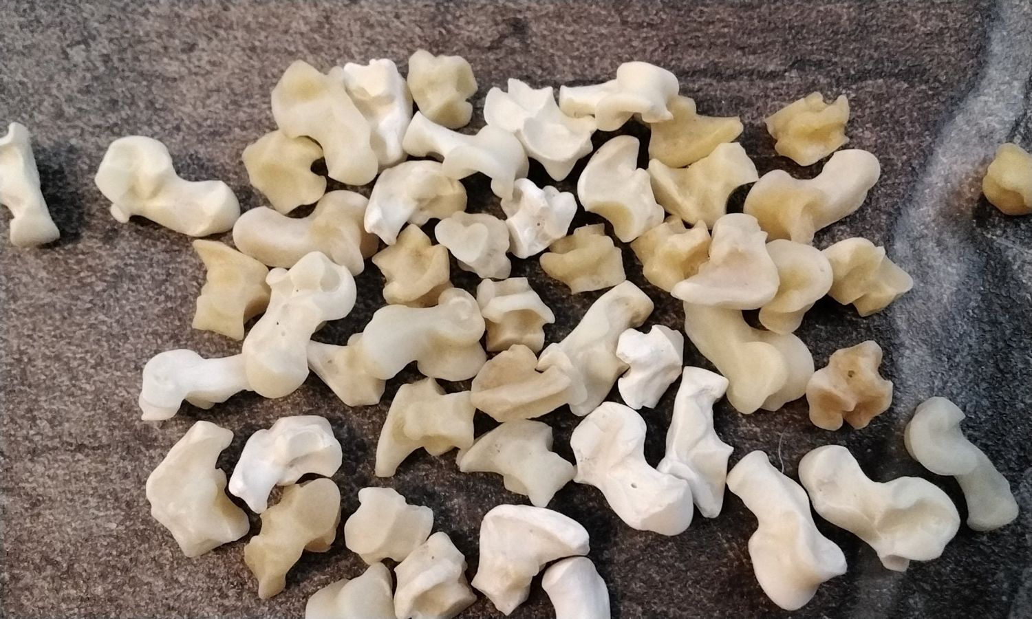 Jack Rabbit Wrist Bone For 10 Hare Carpus Bones From S.D.USA