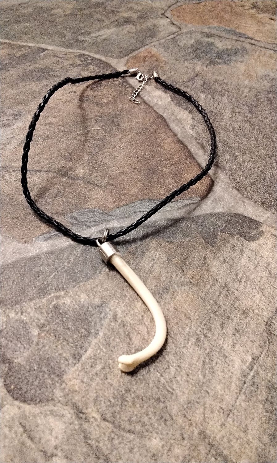 Coon Dick Necklace For 1 (Fancy Dick) Raccoon Baculum Lot #fancy