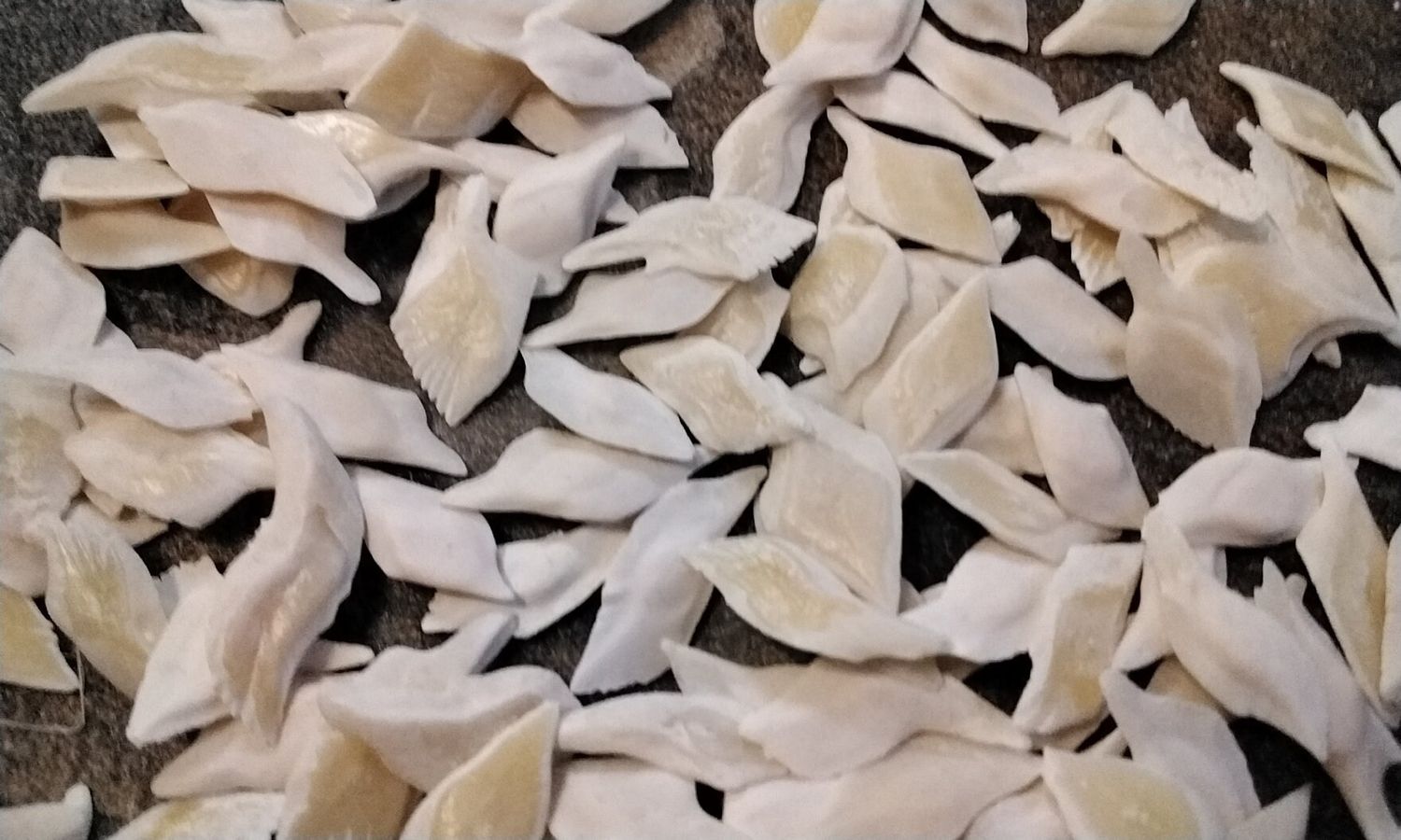 Alligator Gar Fish Scales For 40 Med. Size From USA 1/2&quot; - 3/4&quot; Size