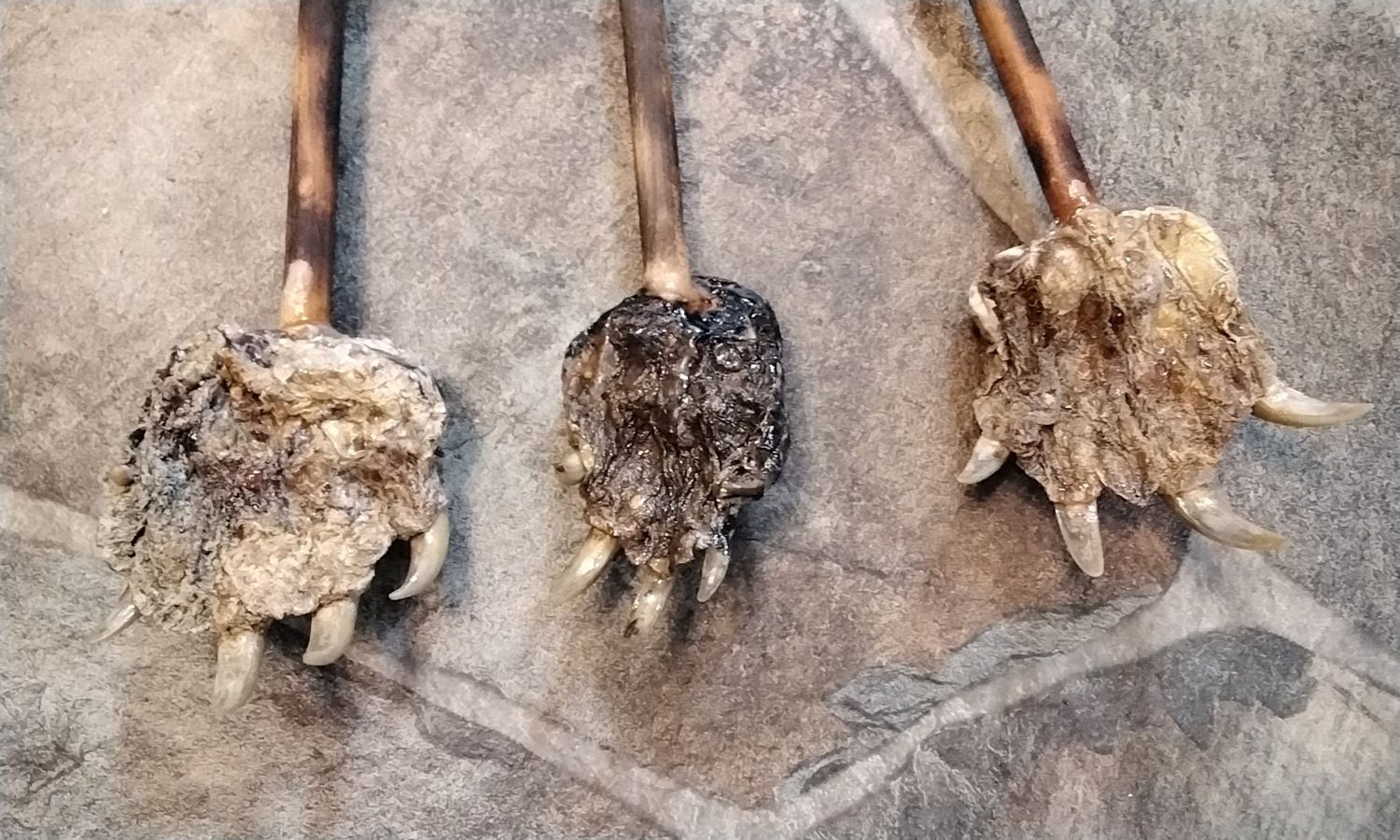 Turtle Foot Backscratcher For 1 Handmade In Mn. USA