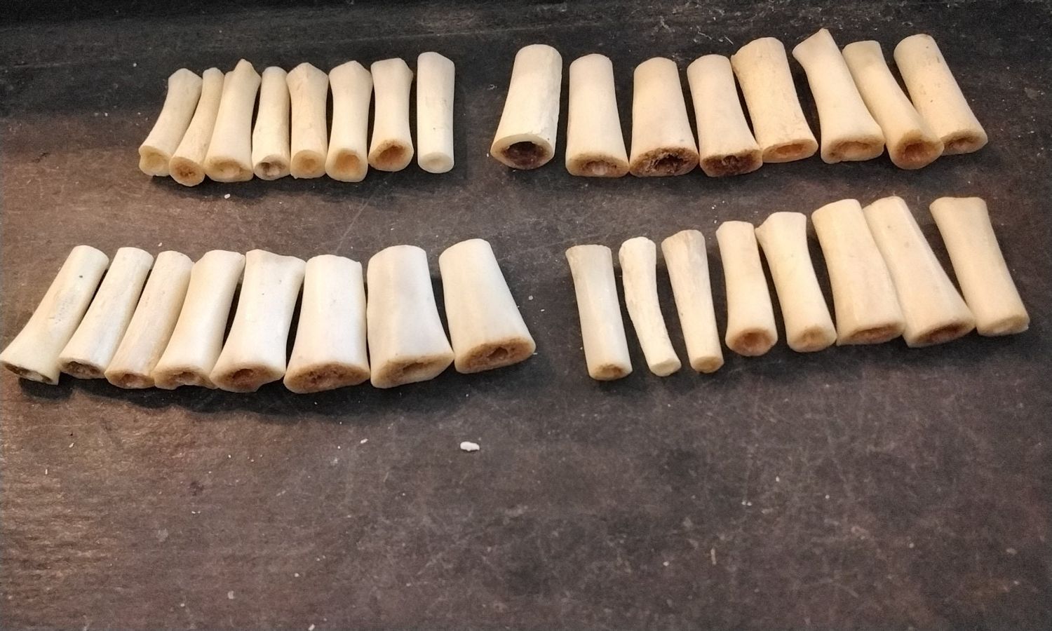 Alligator Foot Bones For 8 Drilled Hairpipe Beads That Are Cut About 1&quot; Size From Fla. USA