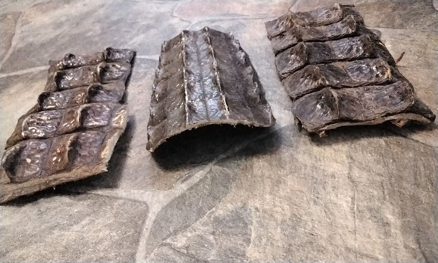 Alligator Hornback Strap Leather Piece For 1 That is  7 1/2&quot; - 8 1/2&quot; by 3 1/2&quot; - 4&quot; Size