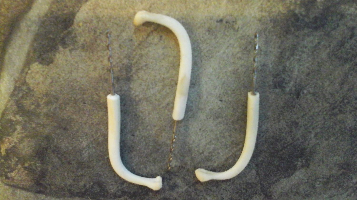 Coon Dick Raccoon Baculum Made Into A Drill  For 1 Made In USA Lot#Drill