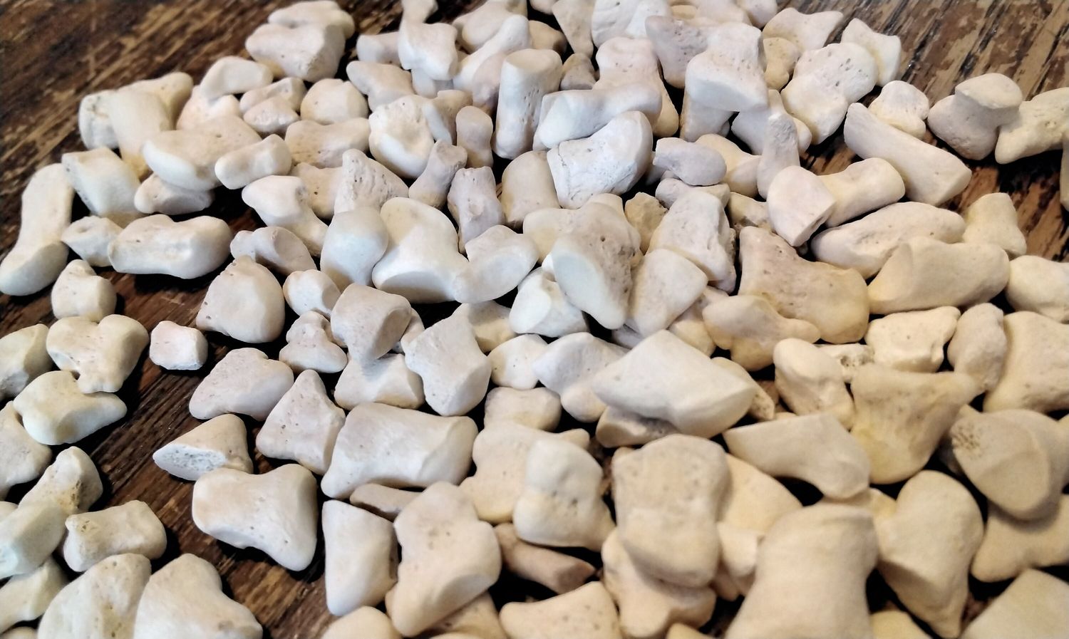 Deer Joint Bones For 15 Assorted From Mn.USA