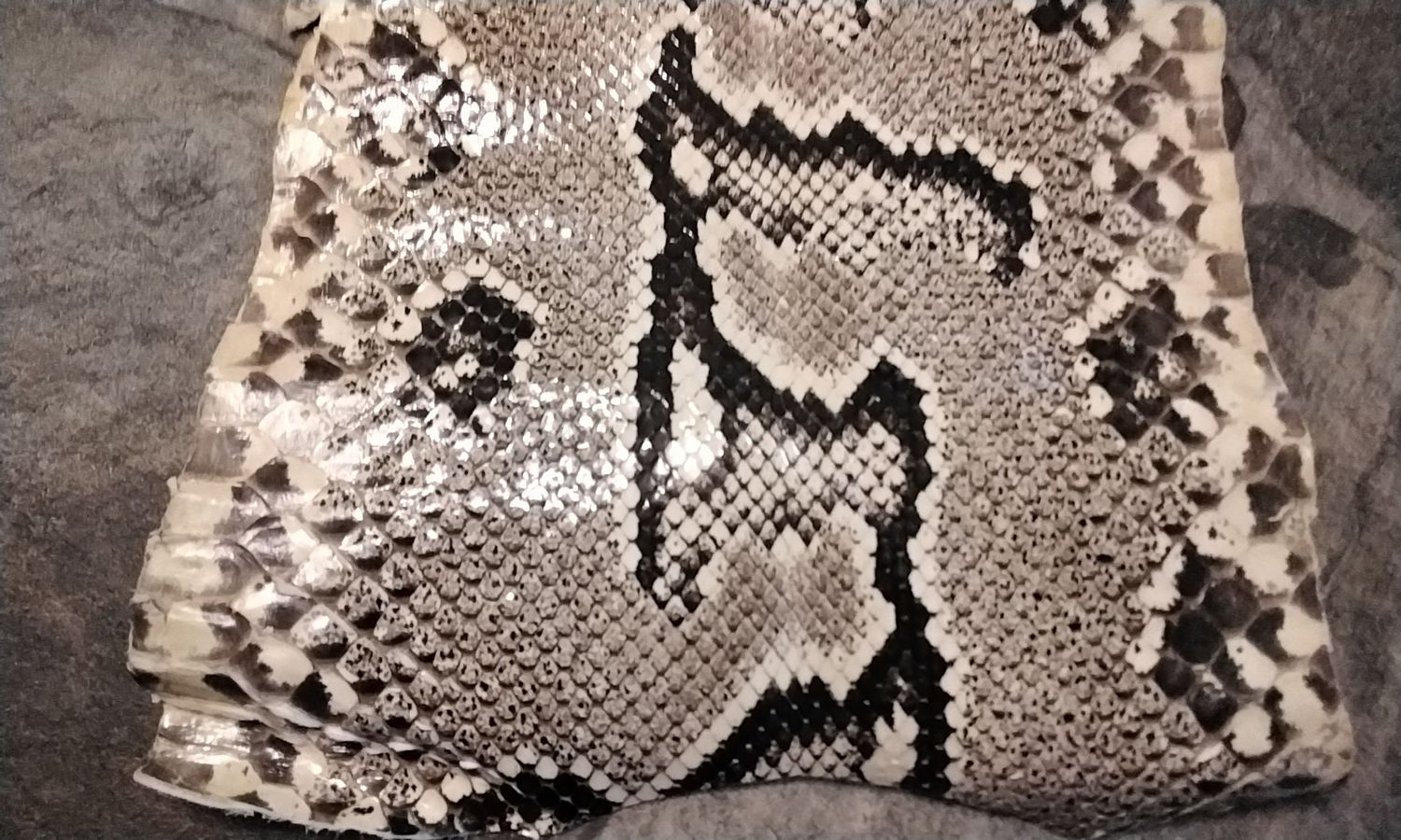 Python Snakeskin Piece Natural 16&quot; x 8 1/2&quot;