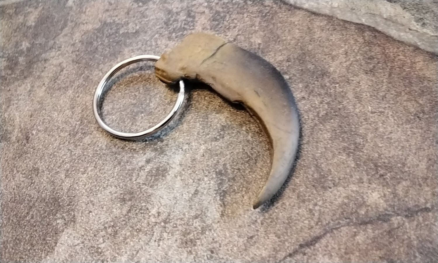 Grizzly Bear Claw Keychain Bone Resin