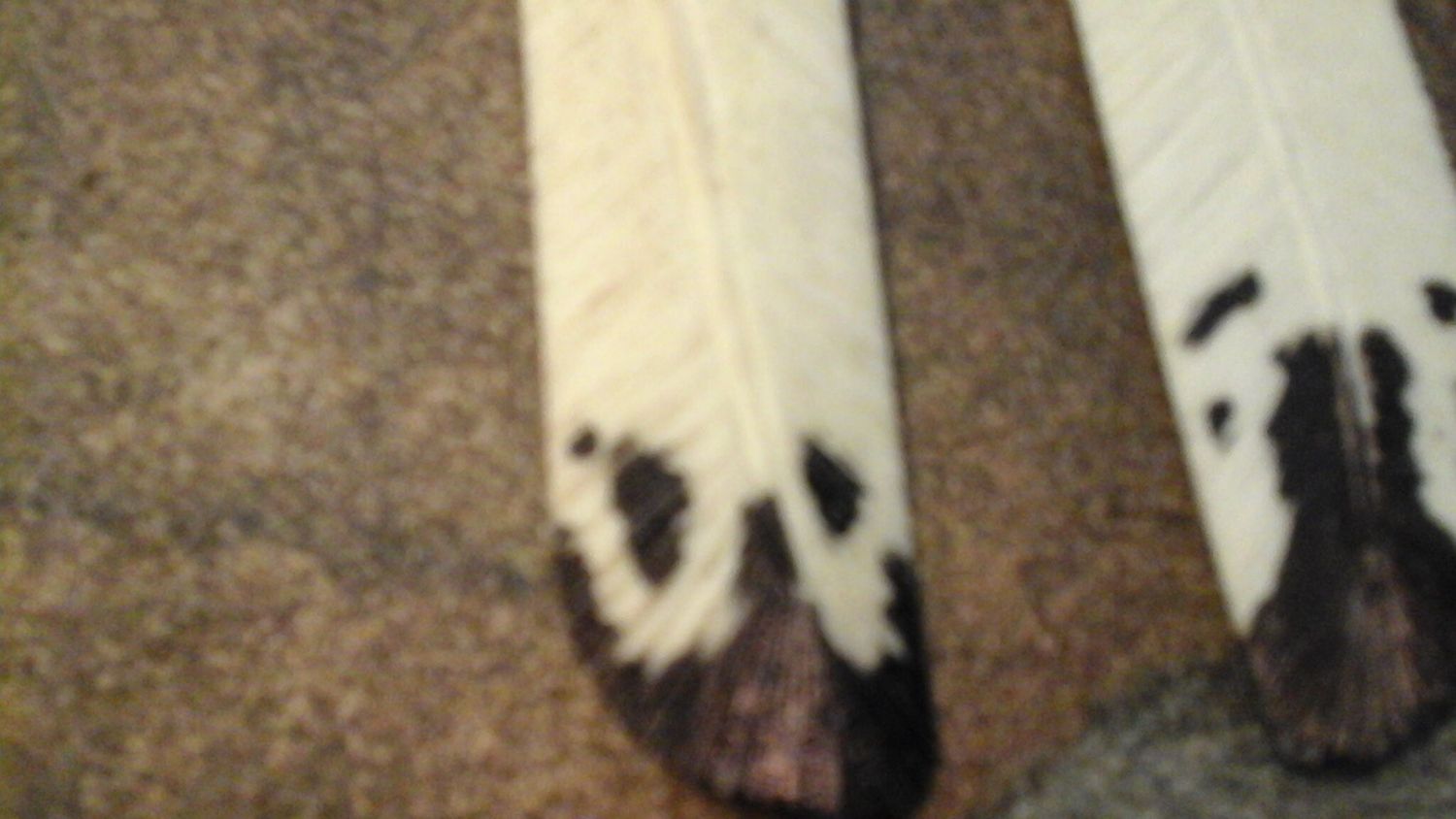 Bison Buffalo Rib Bone Carved Feather For 1  Made in USA