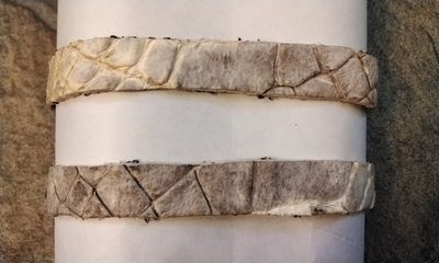 Alligator Leather Cuff Bracelet For 1 Natural White (3/8&quot; Wide x 6&quot;  long) Handmade in USA