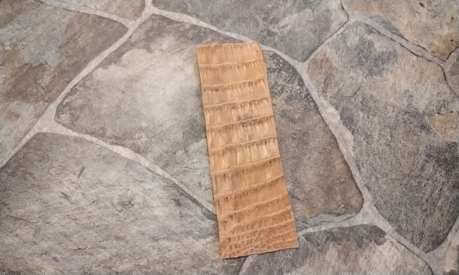 Alligator Skin Piece Super Soft Tanned From Fla USA Lot # Peanut Brittle that measures 9 1/8&quot; by 3&quot;