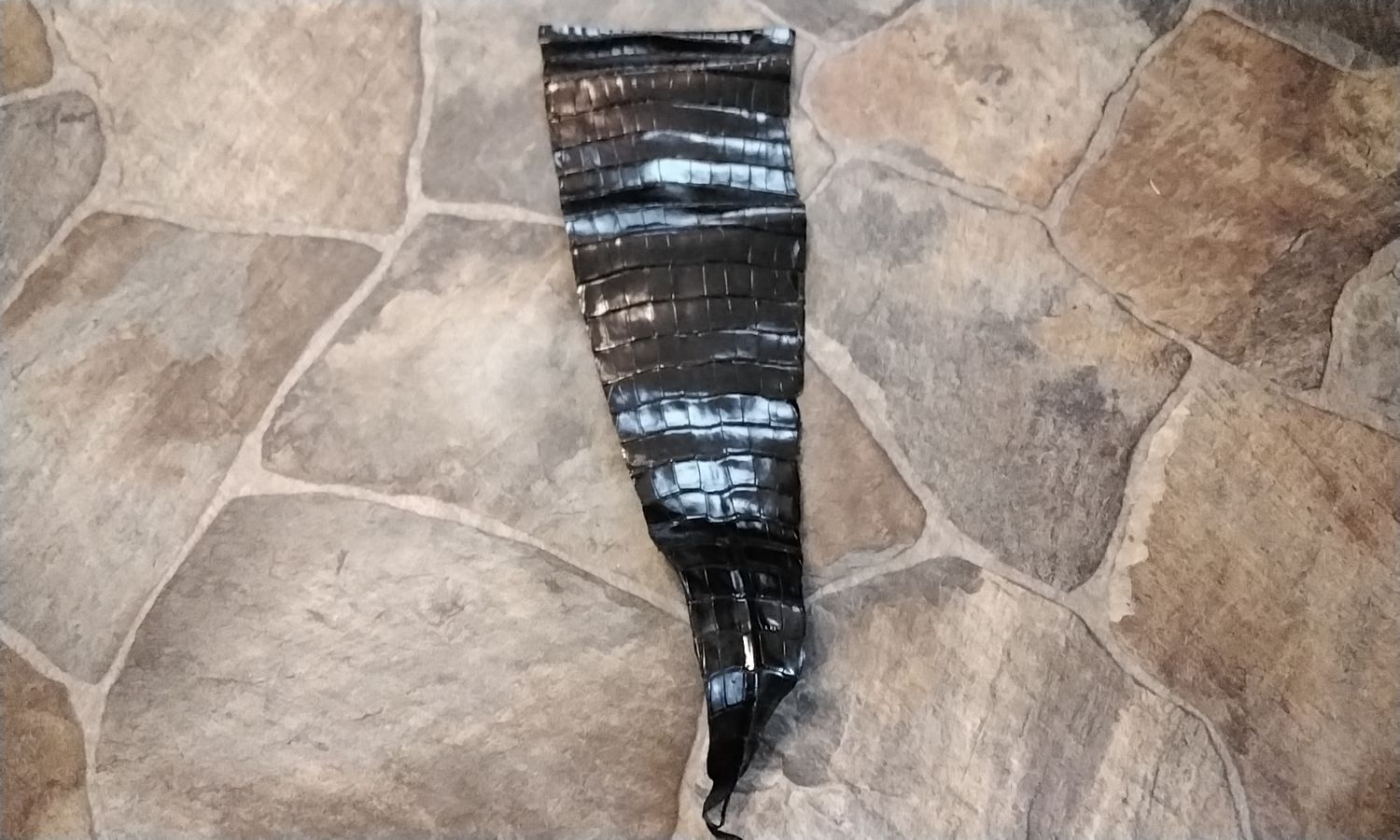 Alligator Tail Piece High Gloss Black From Fla. USA 20&quot; x 6&quot;