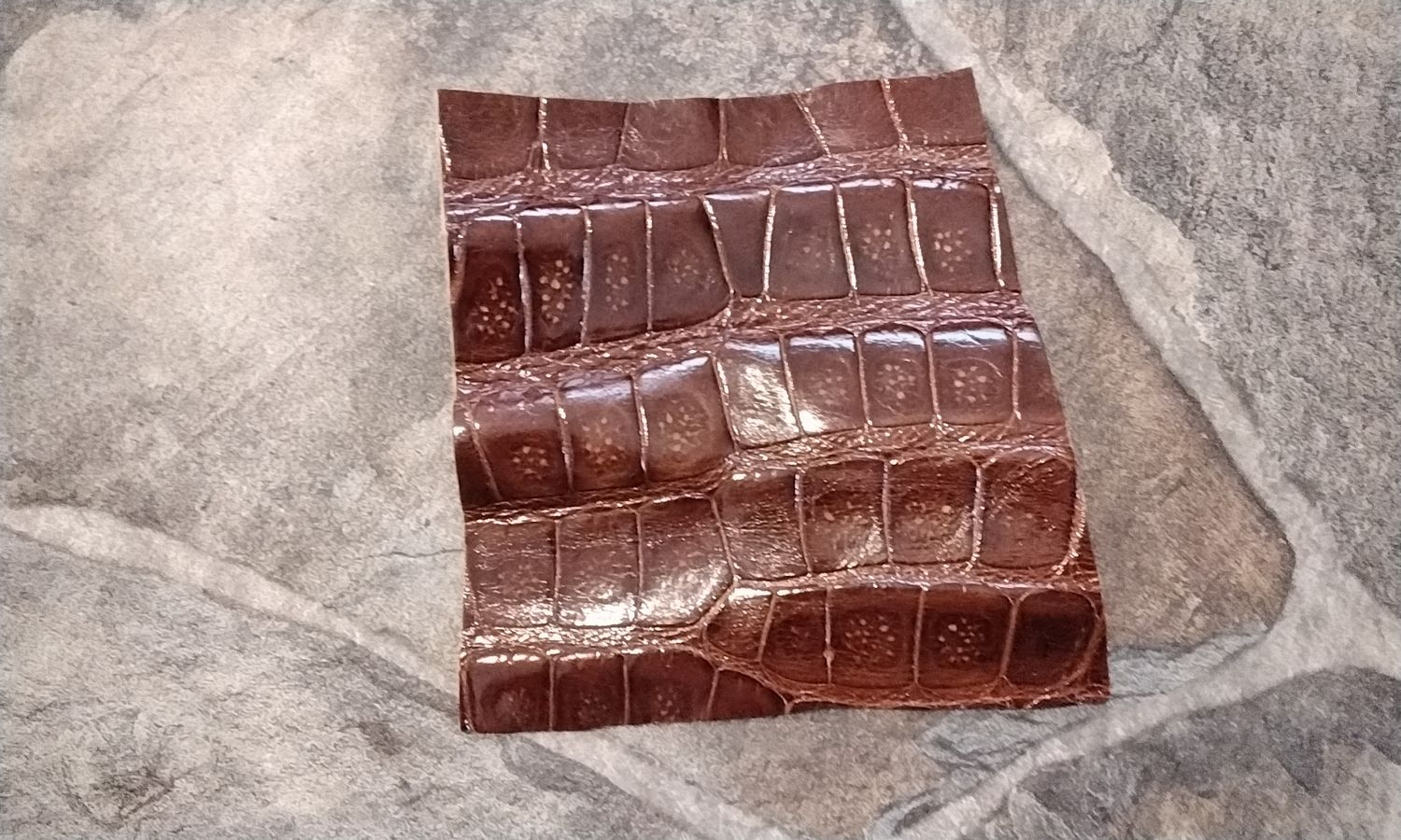 Alligator Leather Piece Tanned British Tan From USA Fla. 5 1/4&quot; x 5 1/4&quot;