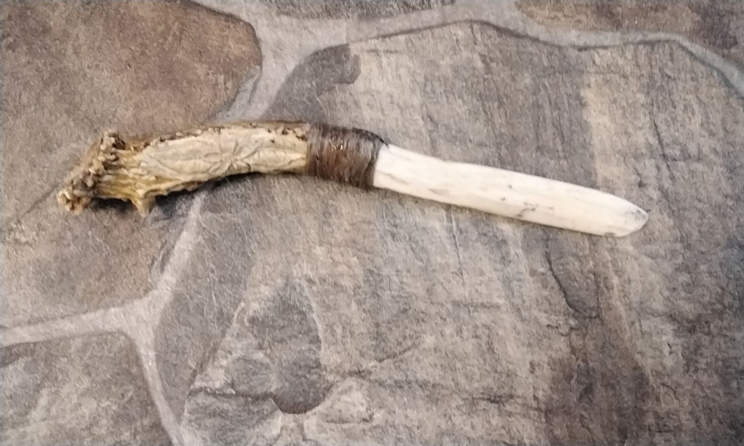 Bison Buffalo Rib Bone Letter Opener With A Deer Antler Handle 8 5/8&quot; Long