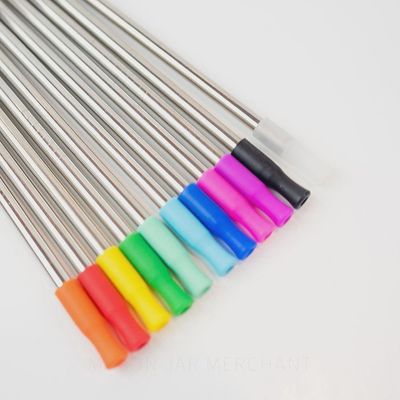 Stainless Steel Straw Kit - Silicone Tip