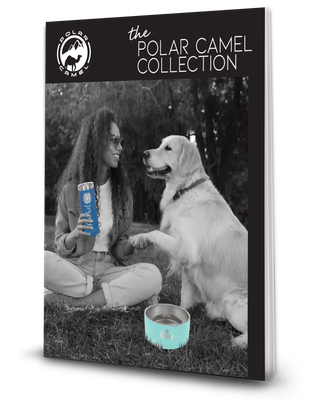 Polar Camel Drinkware