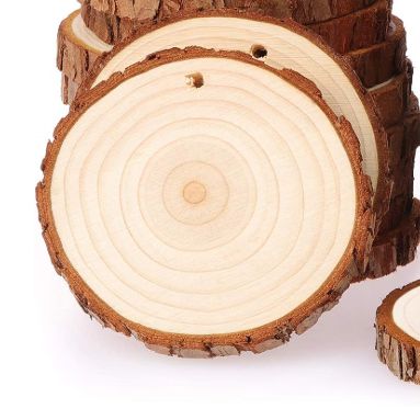 Wood Slices Ornament
