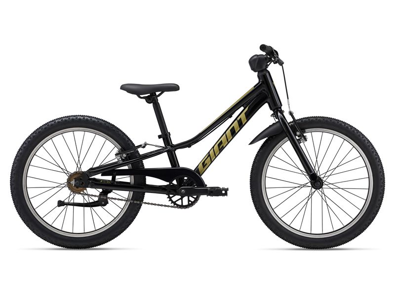 Giant Talon 20&quot;, Color: Black