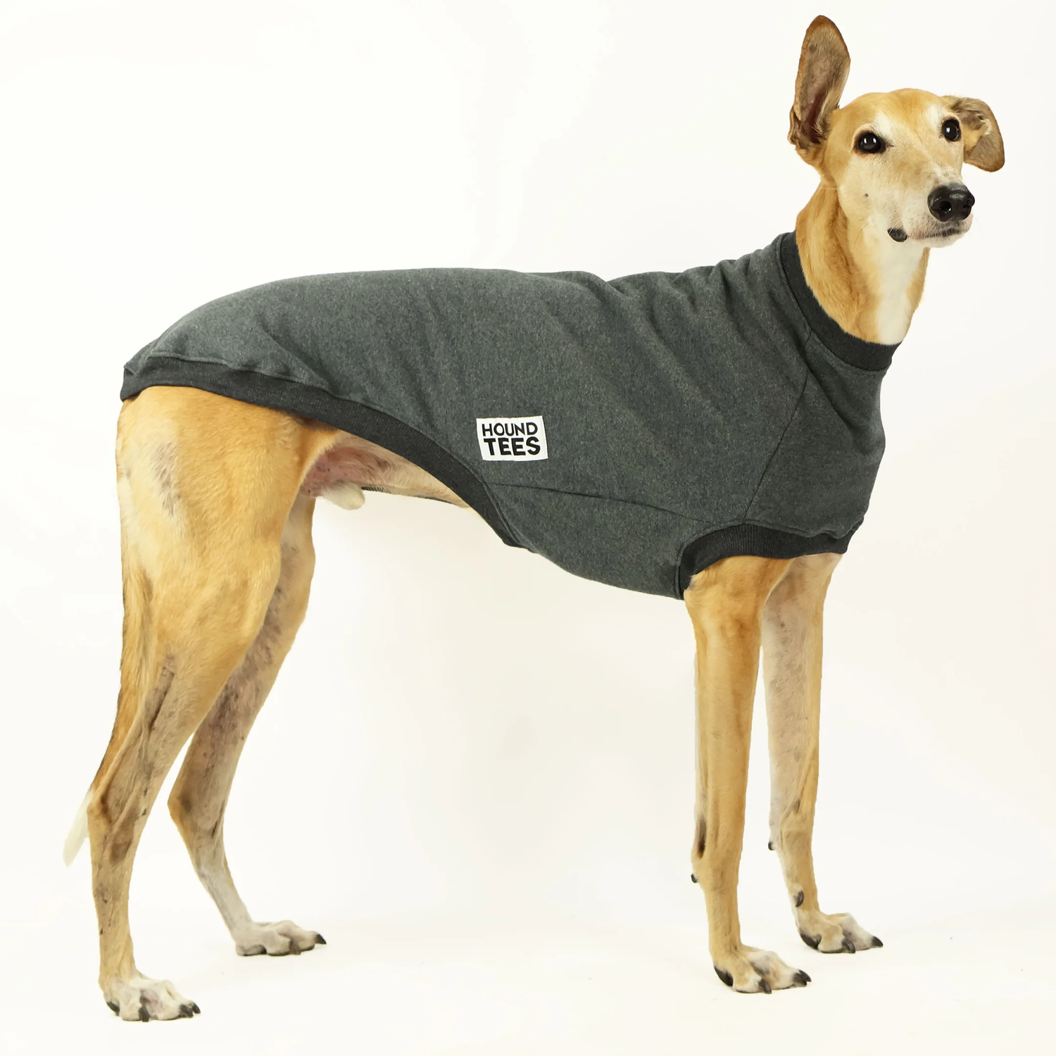 Snoot Loop - Medium Size For Short-Nosed Dogs (Black) - Adjustable Training Aid To Stop Pulling, Lunging, Barking