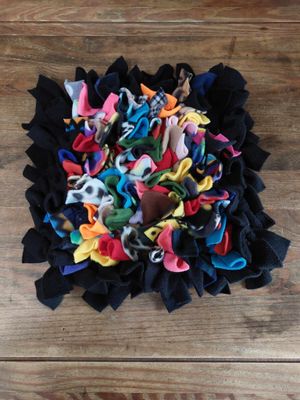 Enrichment Toy: Snuffle Mat Enrichment Toy: Snuffle Mat