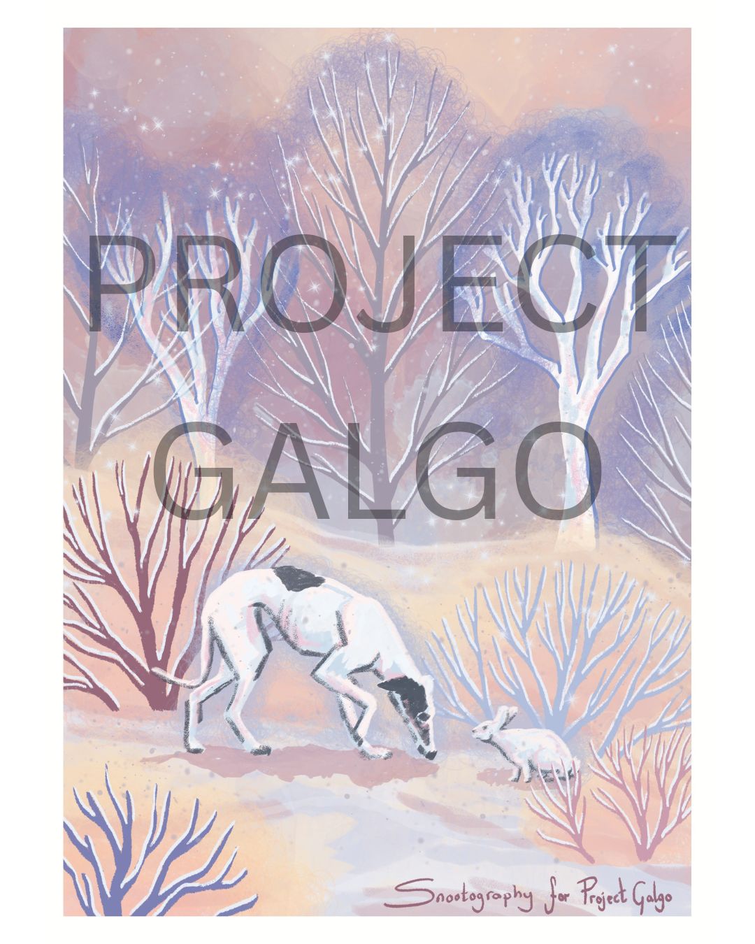 Project Galgo x Snootography Charity Christmas Cards - Set of 4