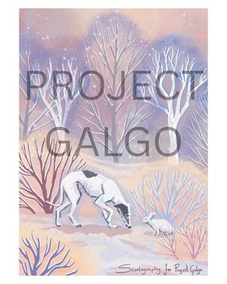 Project Galgo x Snootography Charity Christmas Cards - Set of 4