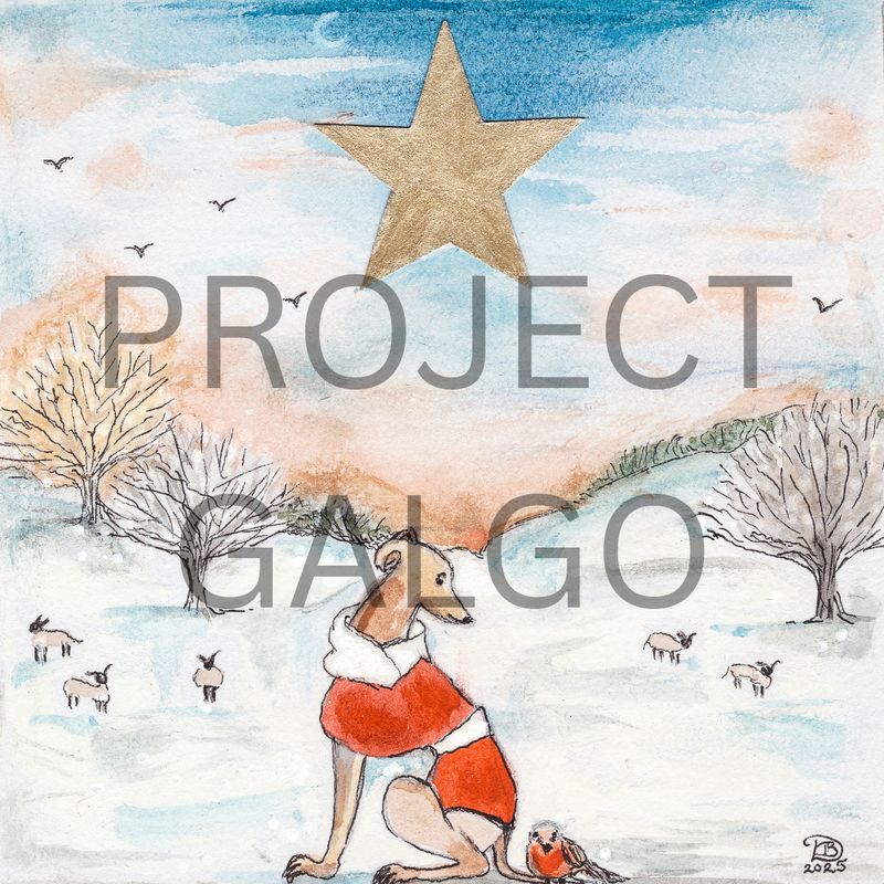 Project Galgo Charity Christmas Cards - Set of 8