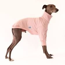 Whippet X Large