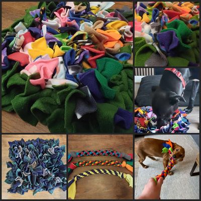 Enrichment Toys