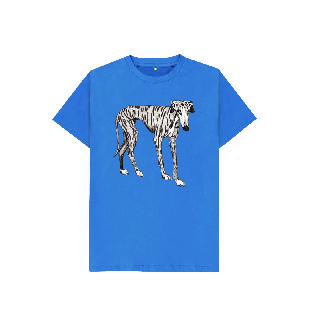 Bright Blue Project Galgo kids t-shirt - age 11-12