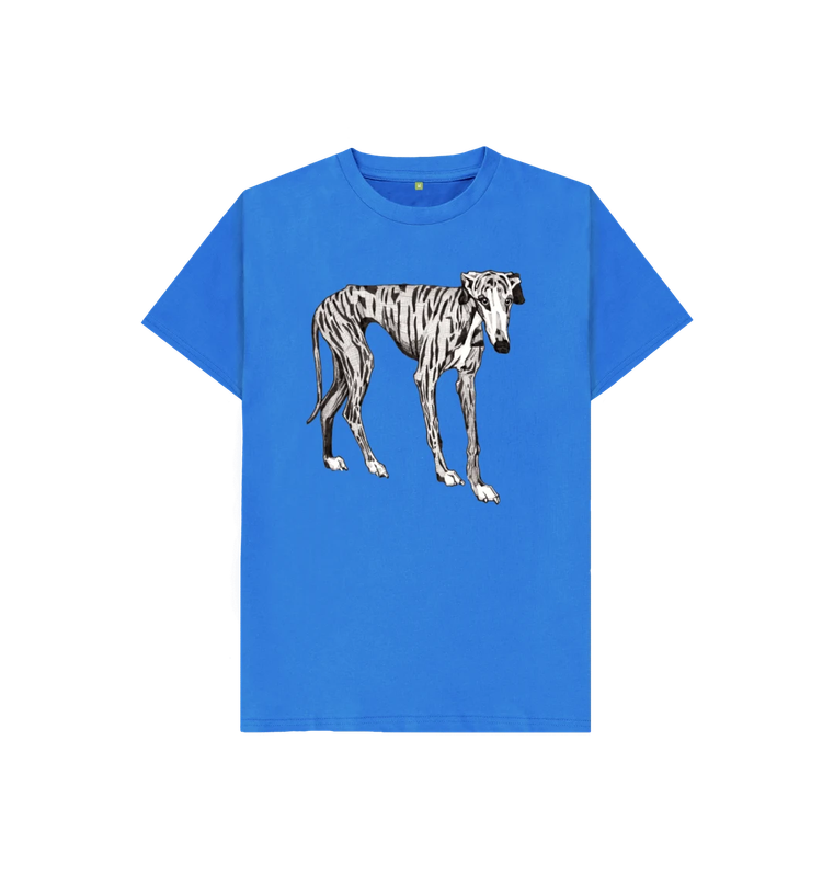 Bright Blue Project Galgo kids t-shirt - age 11-12