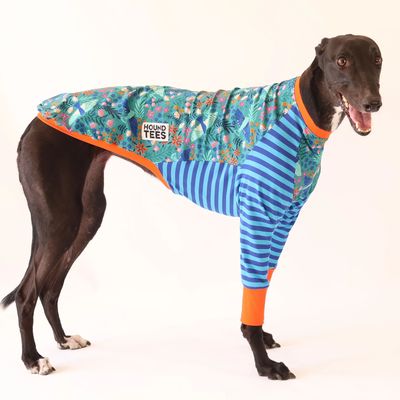Houndtees Folk Birbs Greyhound Long Sleeve Hound-Tee Size Medium