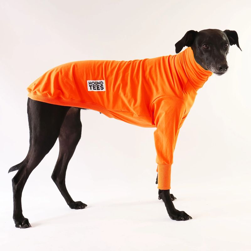 Houndtees Tangerine Greyhound Long Sleeve Tweater Size Medium