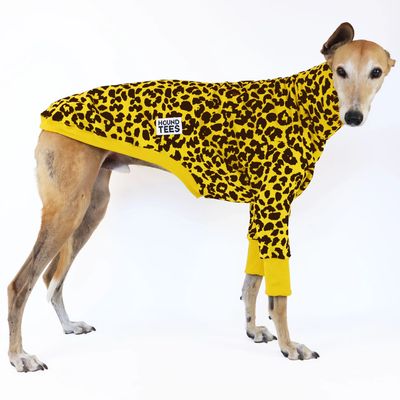 Houndtees Pineapple Roar Greyhound Long Sleeve Tweater Size Medium