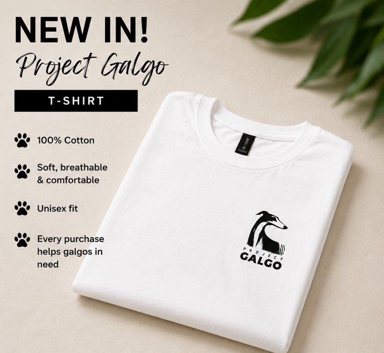 Project Galgo T-shirt Size Small