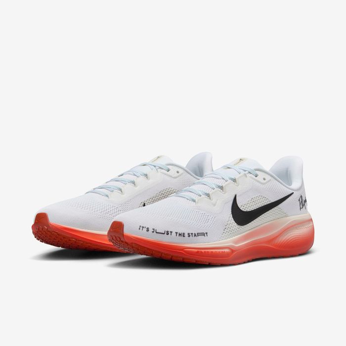 Nike Pegasus