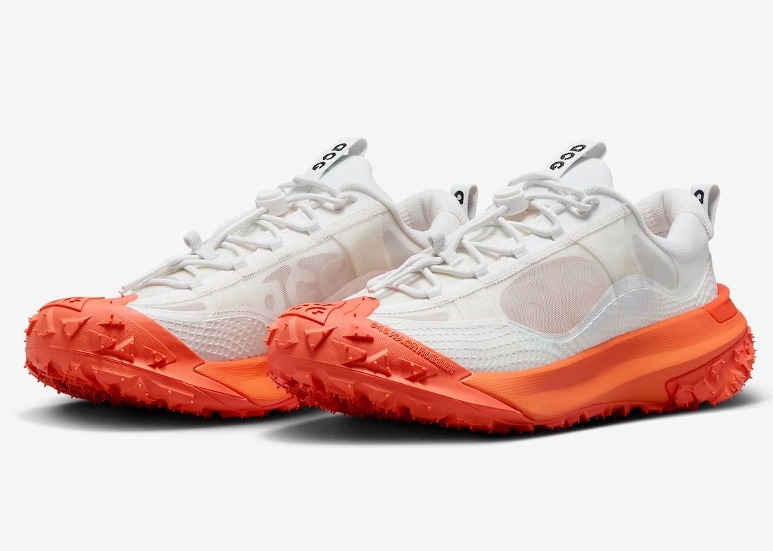 Nike ACG MOUNTAIN FLY LOW 2