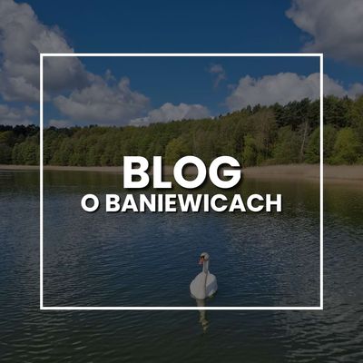 Blog o Baniewicach