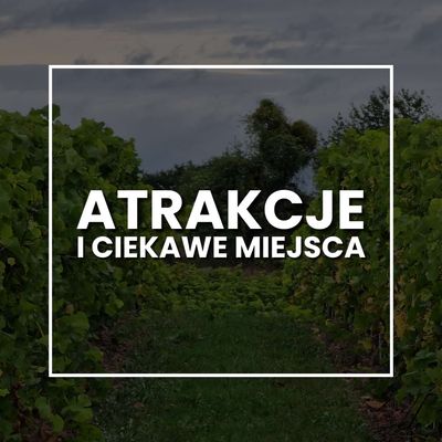 Atrakcje i ciekawe miejsca w Baniewicach