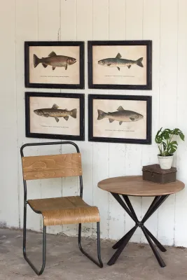 Framed Trout Prints