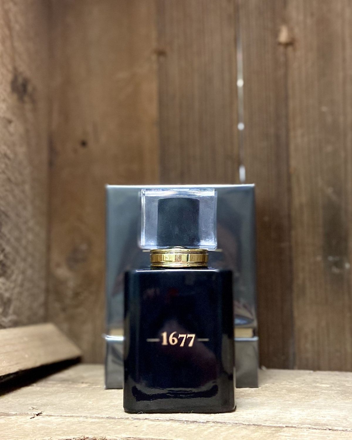 Gentleman 1677 Cologne