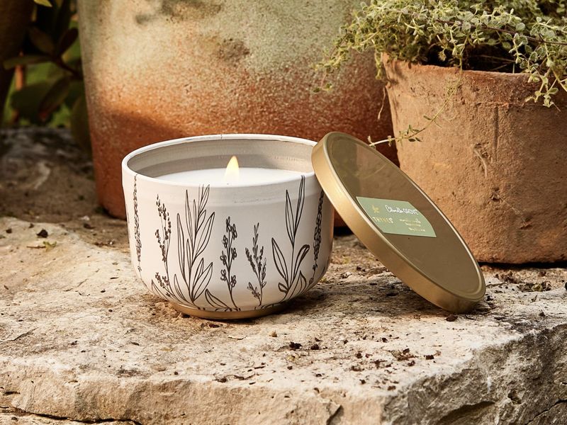 Citronella Grove Poured Candle Tin Gold Lid