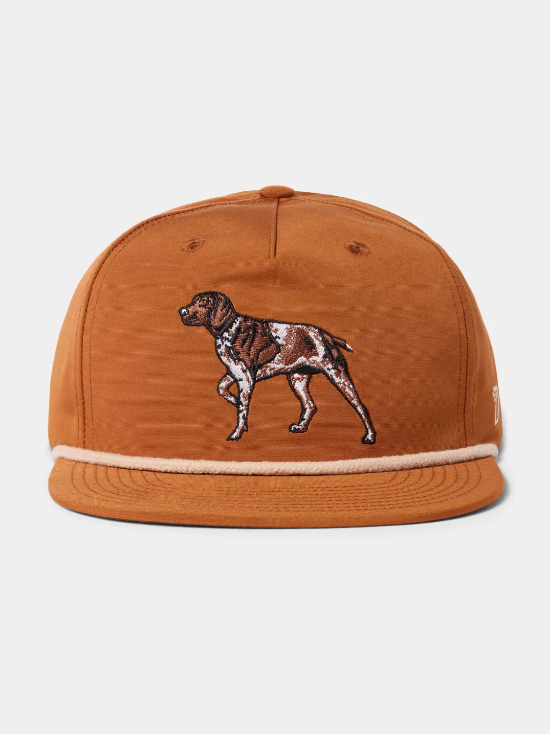 Grandpa Hat Pointer