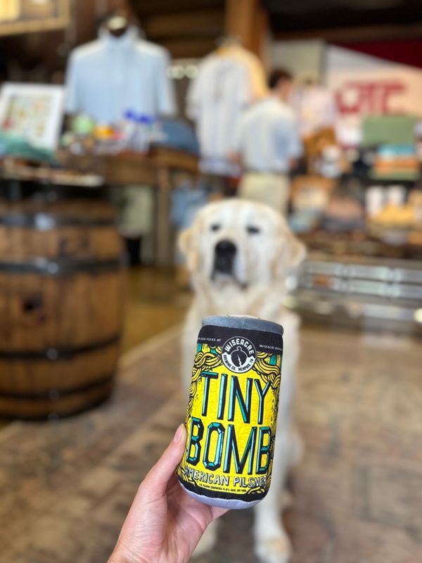 Tiny Bomb Dog Toy