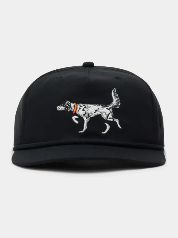 Grandpa Hat English Setter