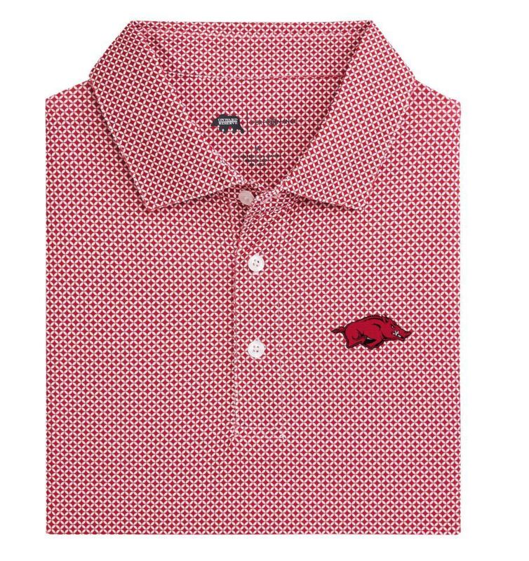 Arkansas Scope Printed Performance Polo