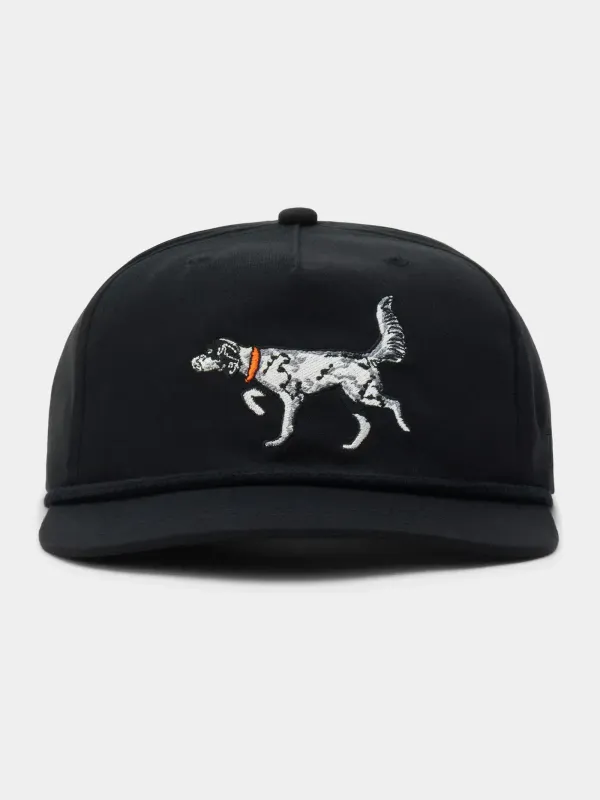 Grandpa Hat English Setter