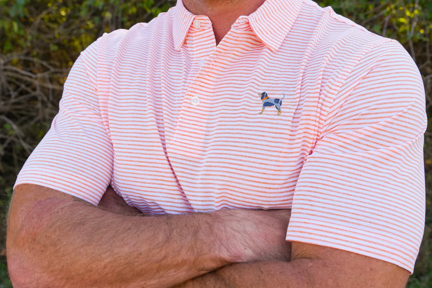 Bluetick Heritage Stripe Polo